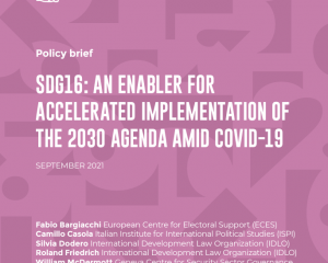Policy Brief - Implementazione dell'Agenda 2030 nel contesto del COVID-19